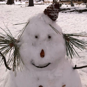 Meet your Posher, Carrie